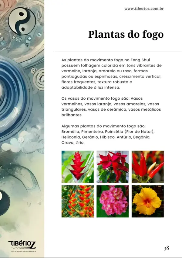 guia de feng shui 9