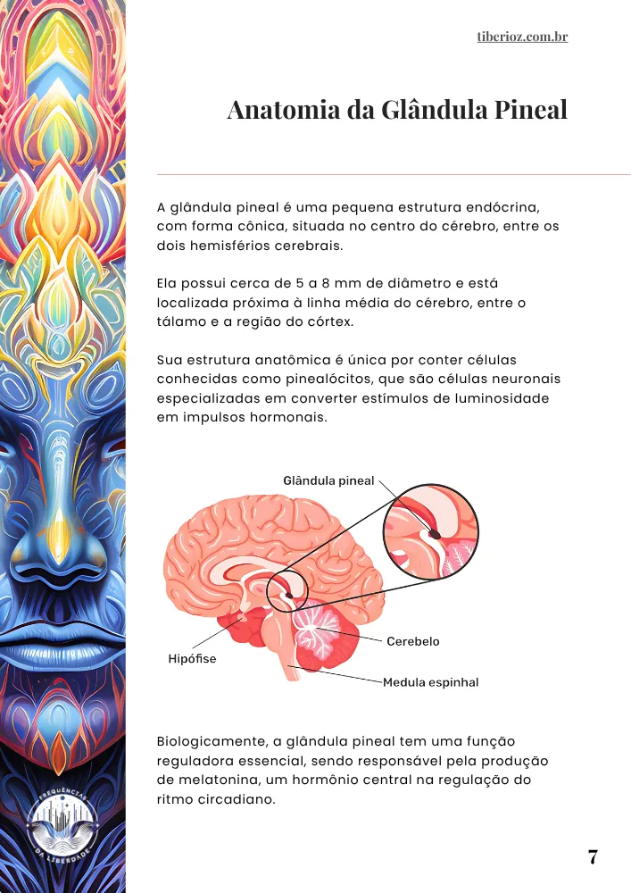 página interna do e-book 40 Exercícios Para Abrir o Terceiro Olho
