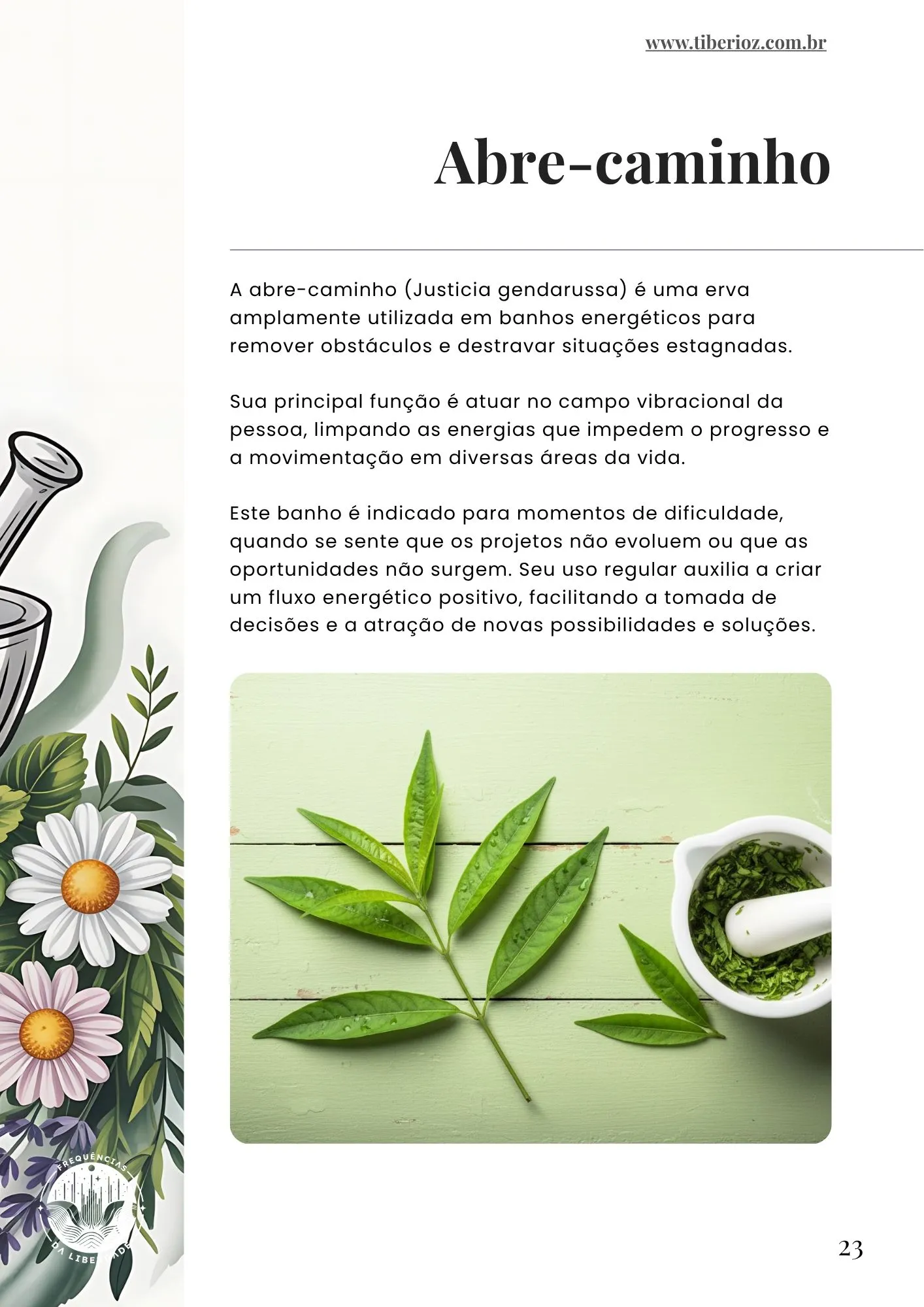 página interna do e-book 110 Banhos de Limpeza Energética