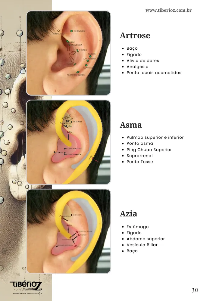 página interna do e-book 90 Protocolos de Auriculoterapia