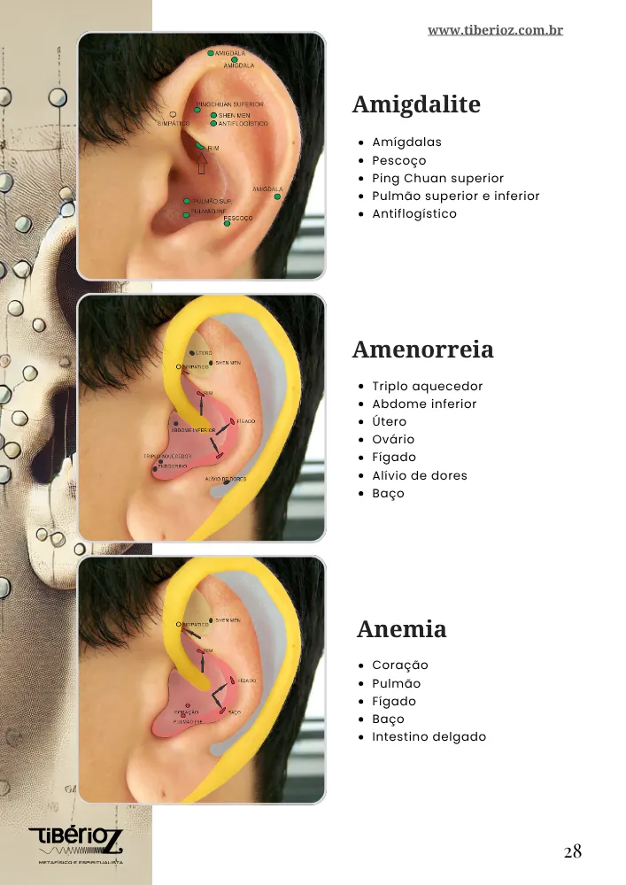 página interna do e-book 90 Protocolos de Auriculoterapia